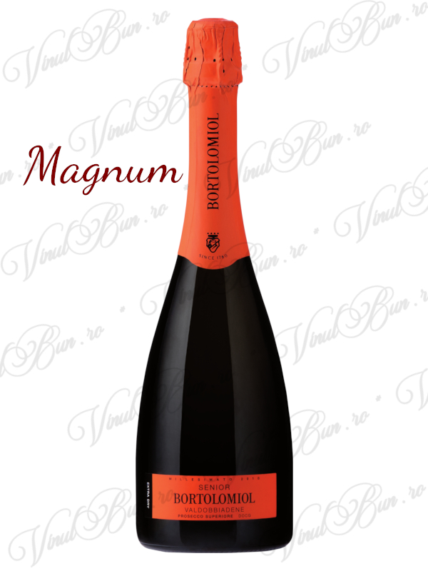 Prosecco Bortolomiol Senior Valdobbiadene Magnum 1.5L Millesimato DOCG  2022